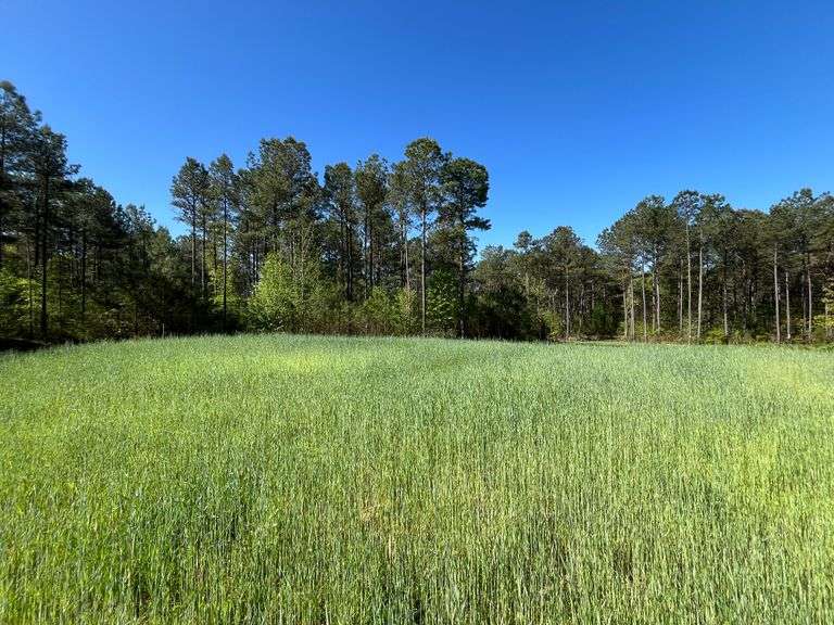 Mulberry Fork Riverfront Property - Walker County, AL