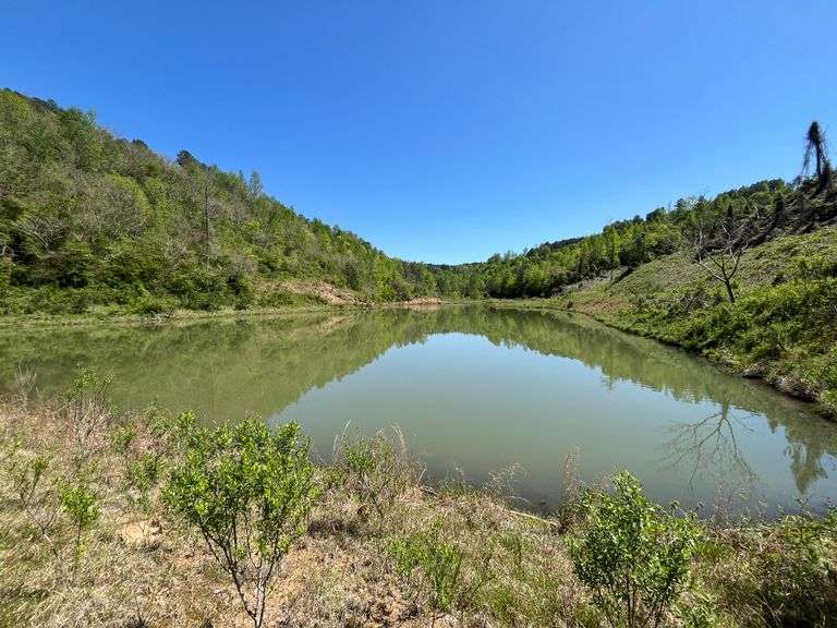Mulberry Fork Riverfront Property - Walker County, AL