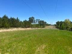 Mulberry Fork Riverfront Property - Walker County, AL