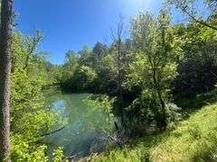 Mulberry Fork Riverfront Property - Walker County, AL