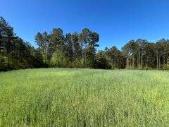 Mulberry Fork Riverfront Property - Walker County, AL
