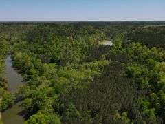Mulberry Fork Riverfront Property - Walker County, AL