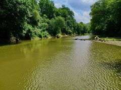 Mulberry Fork Riverfront Property - Walker County, AL