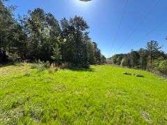 Mulberry Fork Riverfront Property - Walker County, AL