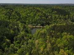 Mulberry Fork Riverfront Property - Walker County, AL