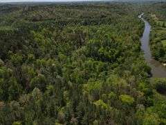 Mulberry Fork Riverfront Property - Walker County, AL