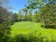 Mulberry Fork Riverfront Property - Walker County, AL