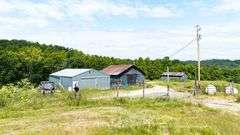 Absolute Auction 144+/- Acres Selling in Tracts: 799 Hargett Drive, Irvine KY - Live On-Site w/Internet Bidding Available
