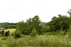 Absolute Auction 144+/- Acres Selling in Tracts: 799 Hargett Drive, Irvine KY - Live On-Site w/Internet Bidding Available