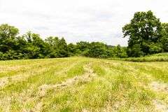 Absolute Auction 144+/- Acres Selling in Tracts: 799 Hargett Drive, Irvine KY - Live On-Site w/Internet Bidding Available