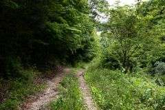 Absolute Auction 144+/- Acres Selling in Tracts: 799 Hargett Drive, Irvine KY - Live On-Site w/Internet Bidding Available