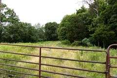 Absolute Auction 144+/- Acres Selling in Tracts: 799 Hargett Drive, Irvine KY - Live On-Site w/Internet Bidding Available