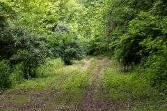 Absolute Auction 144+/- Acres Selling in Tracts: 799 Hargett Drive, Irvine KY - Live On-Site w/Internet Bidding Available