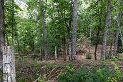 Absolute Auction 144+/- Acres Selling in Tracts: 799 Hargett Drive, Irvine KY - Live On-Site w/Internet Bidding Available