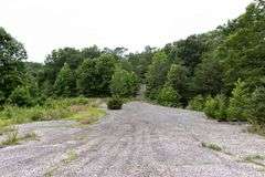 Absolute Auction 144+/- Acres Selling in Tracts: 799 Hargett Drive, Irvine KY - Live On-Site w/Internet Bidding Available