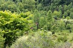 Absolute Auction 144+/- Acres Selling in Tracts: 799 Hargett Drive, Irvine KY - Live On-Site w/Internet Bidding Available