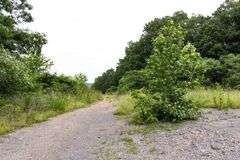 Absolute Auction 144+/- Acres Selling in Tracts: 799 Hargett Drive, Irvine KY - Live On-Site w/Internet Bidding Available