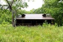 Absolute Auction 144+/- Acres Selling in Tracts: 799 Hargett Drive, Irvine KY - Live On-Site w/Internet Bidding Available