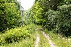 Absolute Auction 144+/- Acres Selling in Tracts: 799 Hargett Drive, Irvine KY - Live On-Site w/Internet Bidding Available