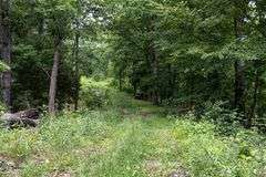 Absolute Auction 144+/- Acres Selling in Tracts: 799 Hargett Drive, Irvine KY - Live On-Site w/Internet Bidding Available