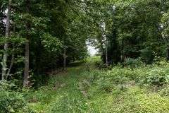 Absolute Auction 144+/- Acres Selling in Tracts: 799 Hargett Drive, Irvine KY - Live On-Site w/Internet Bidding Available