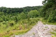 Absolute Auction 144+/- Acres Selling in Tracts: 799 Hargett Drive, Irvine KY - Live On-Site w/Internet Bidding Available