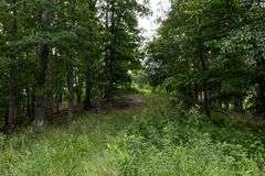 Absolute Auction 144+/- Acres Selling in Tracts: 799 Hargett Drive, Irvine KY - Live On-Site w/Internet Bidding Available