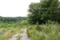 Absolute Auction 144+/- Acres Selling in Tracts: 799 Hargett Drive, Irvine KY - Live On-Site w/Internet Bidding Available