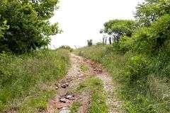 Absolute Auction 144+/- Acres Selling in Tracts: 799 Hargett Drive, Irvine KY - Live On-Site w/Internet Bidding Available