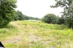 Absolute Auction 144+/- Acres Selling in Tracts: 799 Hargett Drive, Irvine KY - Live On-Site w/Internet Bidding Available