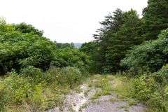 Absolute Auction 144+/- Acres Selling in Tracts: 799 Hargett Drive, Irvine KY - Live On-Site w/Internet Bidding Available