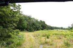 Absolute Auction 144+/- Acres Selling in Tracts: 799 Hargett Drive, Irvine KY - Live On-Site w/Internet Bidding Available