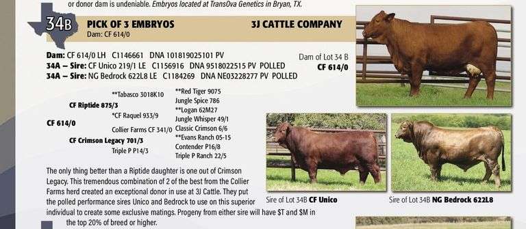 Embryo Package: CF UNICO x CF 614/0