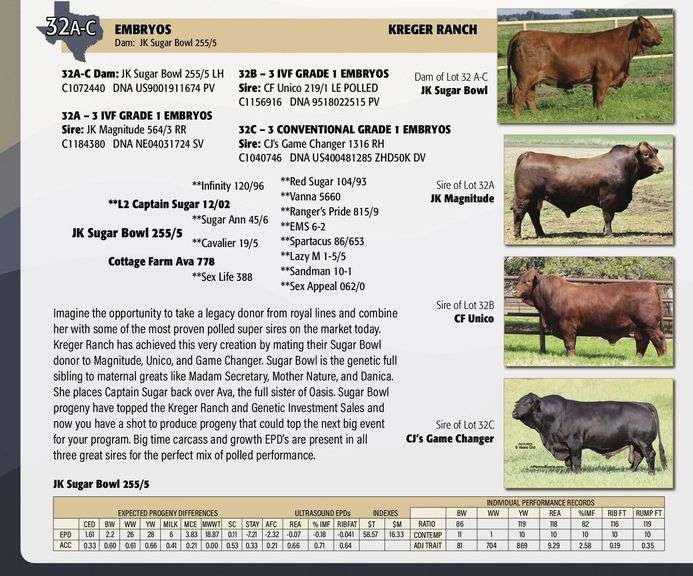 IVF Embryo Package: JK MAGNITUDE x JK SUGAR BOWL