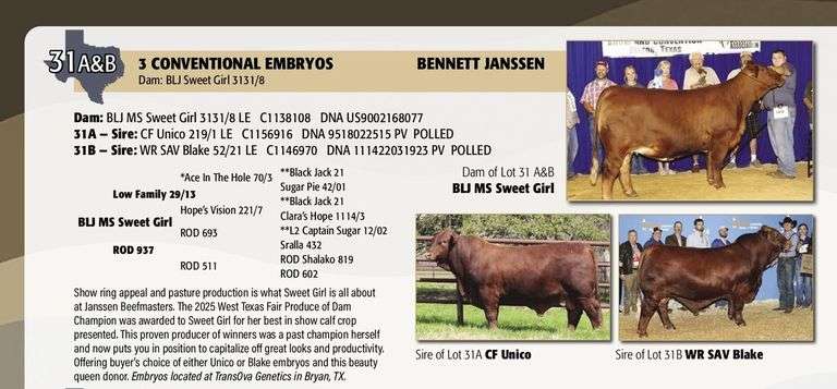 Embryo Package: WR SAV BLAKE x BLJ SWEET GIRL