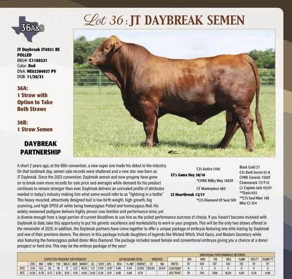 Semen Package: JT DAYBREAK