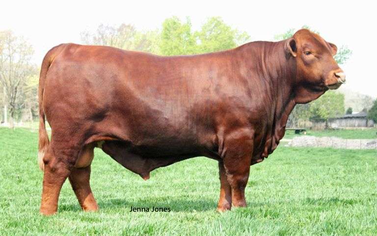 Semen Package: CHRK Rasin' Cain