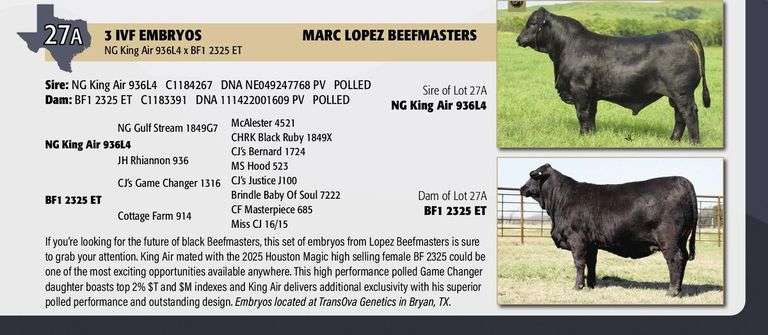 Embryo Package: NG KING AIR x BF1 2325