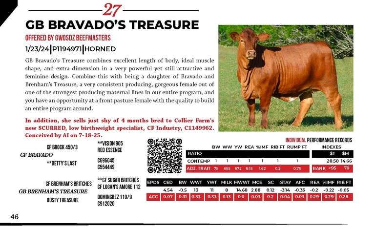 GB BRAVADO'S TREASURE