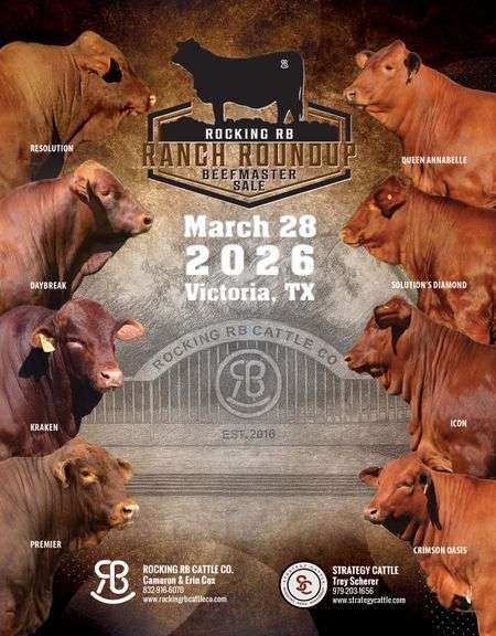 ROCKING RB RANCH ROUNDUP