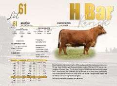 H-Bar 2001