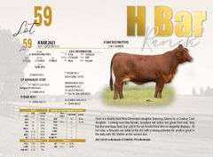 H-Bar 2021