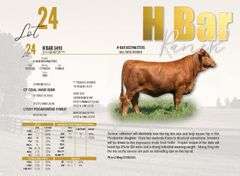 H-Bar 3493