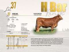 H-Bar 3003