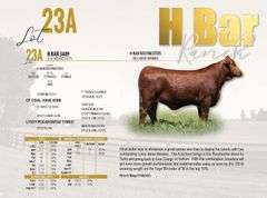 H-Bar 3489
