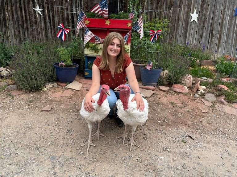 Gianna King Turkey