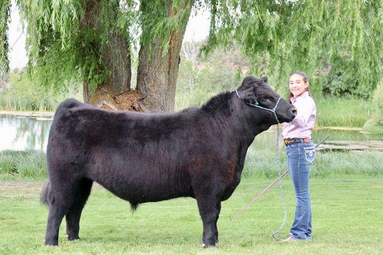 Payton Luark Beef