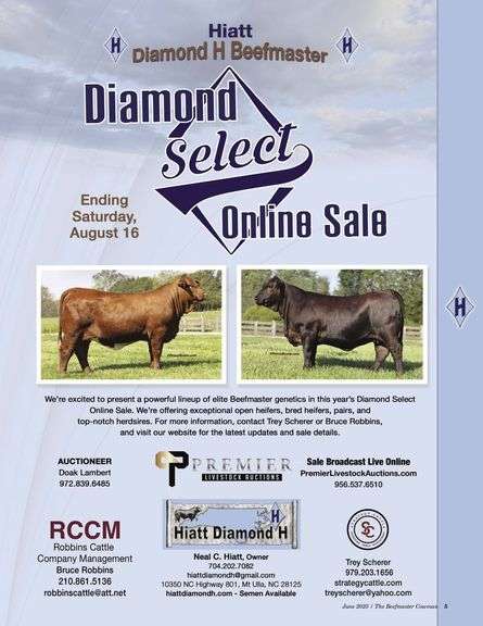 Diamond Select Online Sale