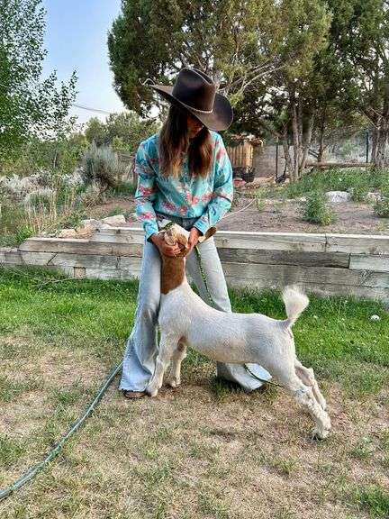 Hattie Rose Mettler Goat