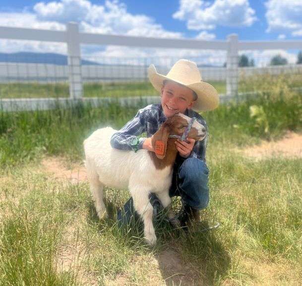 George Bartlett Goat